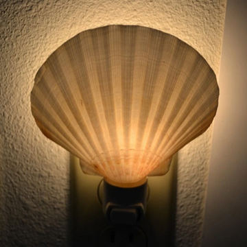 Fan-Shaped Seashell Plug-In Night Light, Coastal Style Wall Socket Ambient Lamp For Interior Decor And Gentle Night Illumination